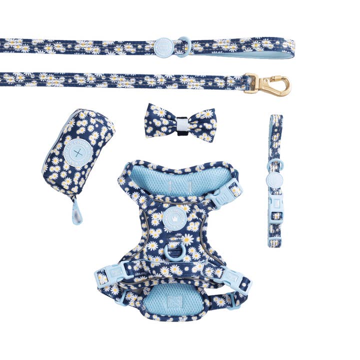 Trail & Glow Dog Harness Bundle Set - Colour Drops - Loves me, Loves me not for wholesale by Bailey and Coco