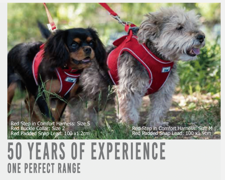 Ancol Pet Products Ltd - Vendita all'ingrosso Collare - Cani - Collare regolabile Viva Rosso3