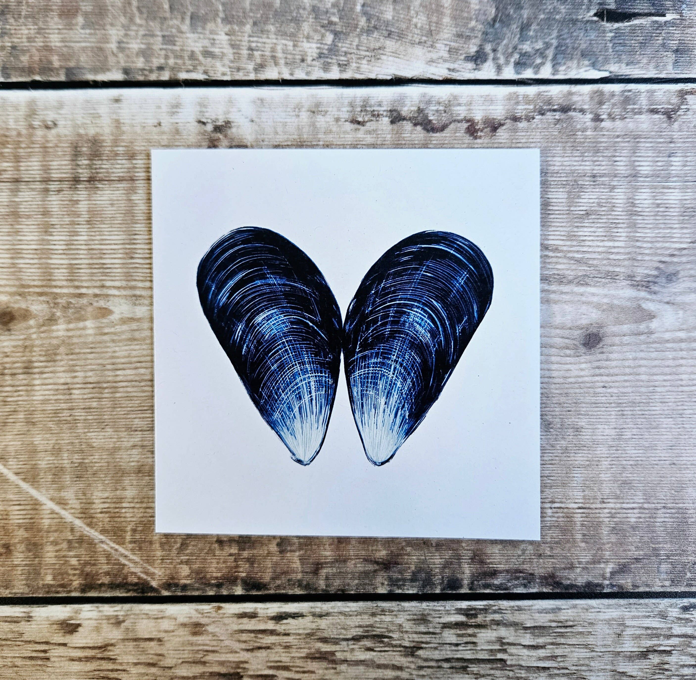 Flotsam Prints - Wholesale Everyday Greeting Card - Mussel Shell Heart - Single Square Greetings Card1