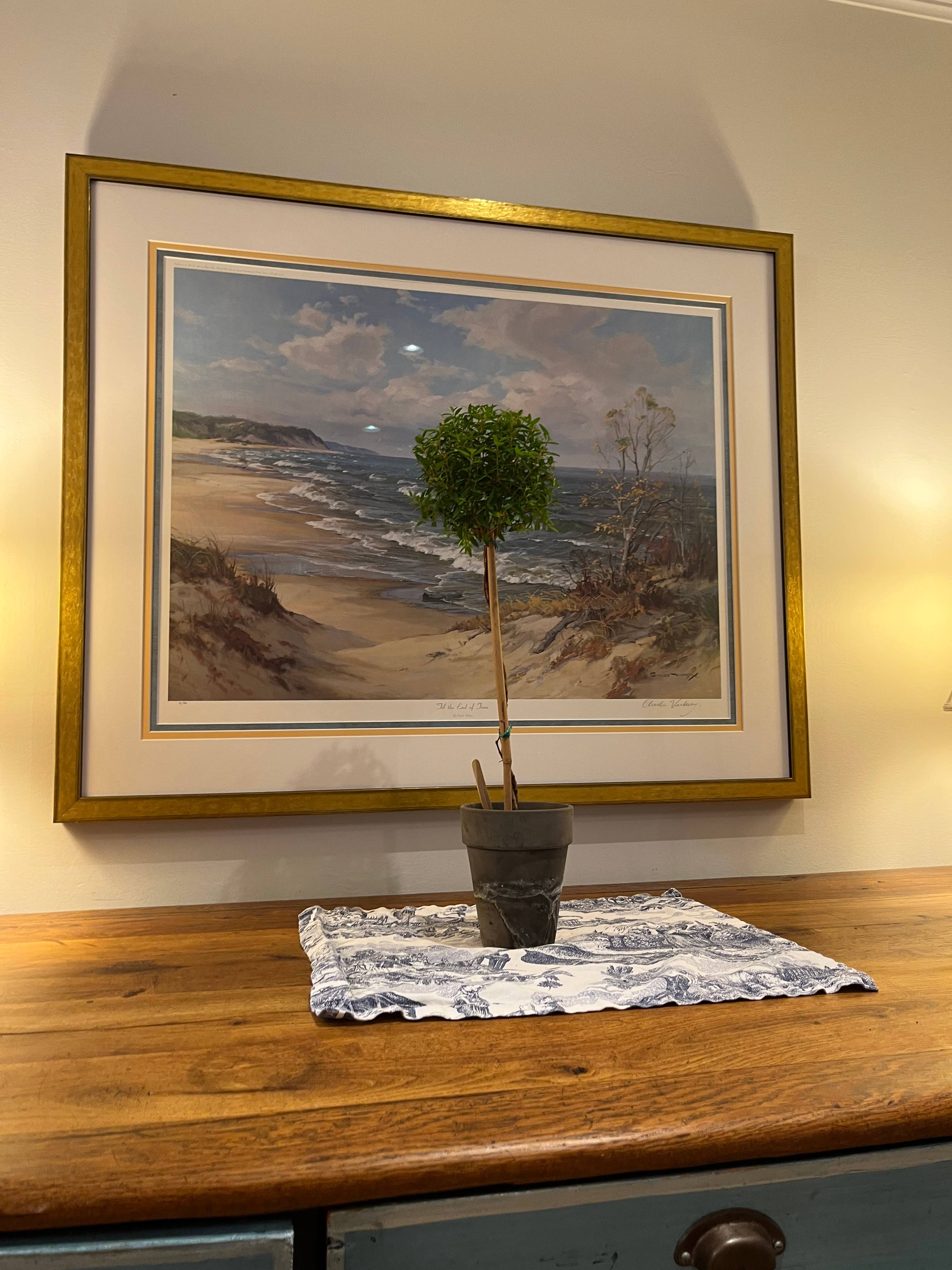 Sunrise Topiaries - Wholesale Live Plant - Live Single Ball Myrtle Topiary in 5 inch Pot1