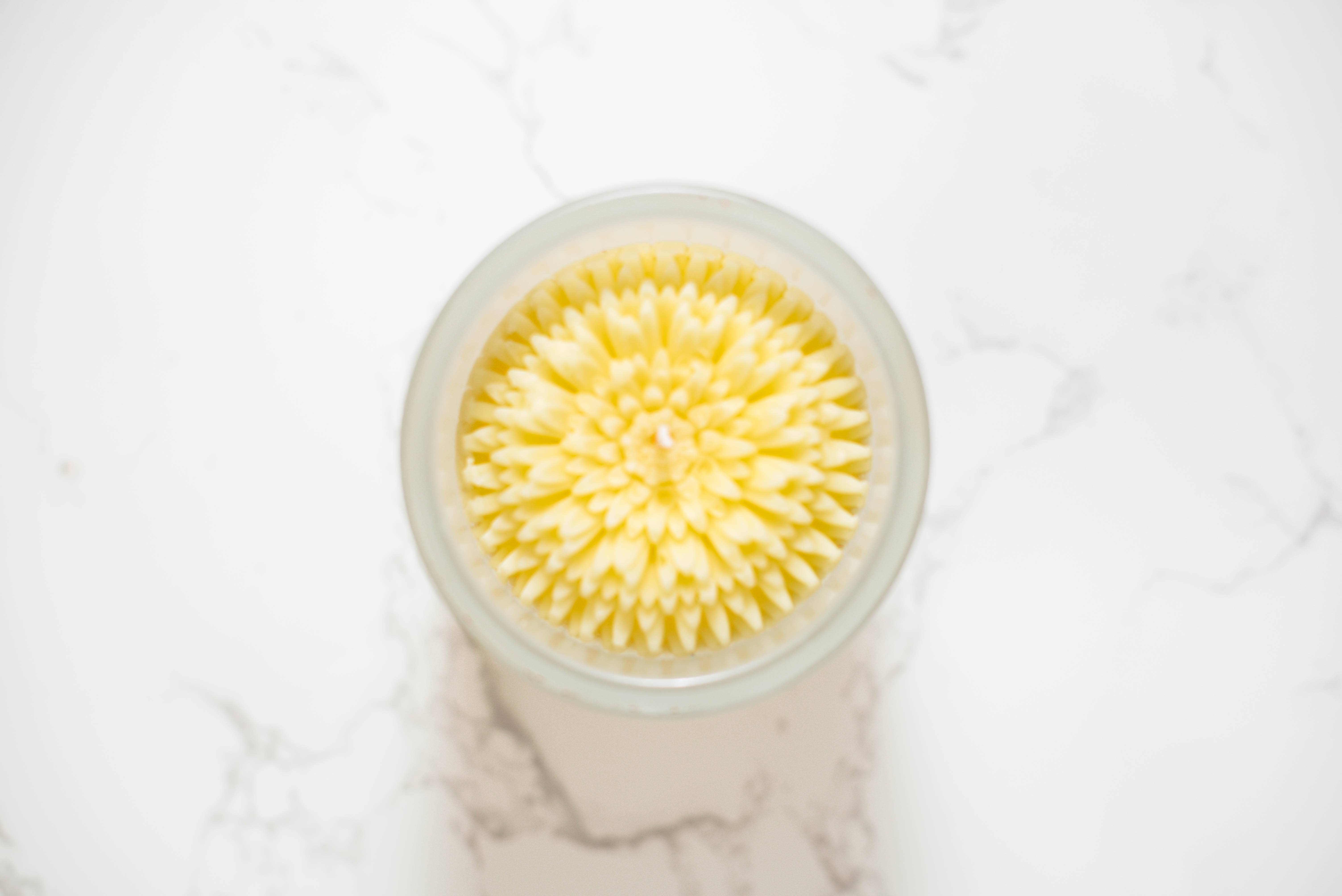 Multifaceted™ Artisan Candles - Wholesale Jar/Filled Candle - Dandelion Flower Candle, Eco-Friendly Candle -multiple sizes3