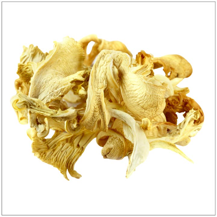 Oyster Mushroom Dried Whole for wholesale by Alive Herbals