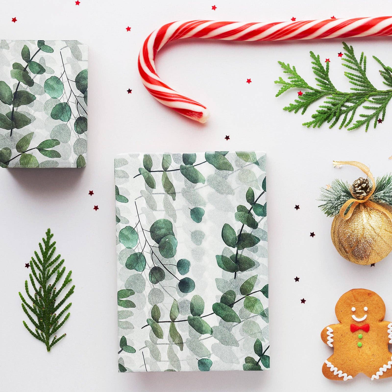 Wrapables.com - Vente Papiers de soie - Papier de soie Eucalyptus Wrapables 60 feuilles 13,75 x 19,754