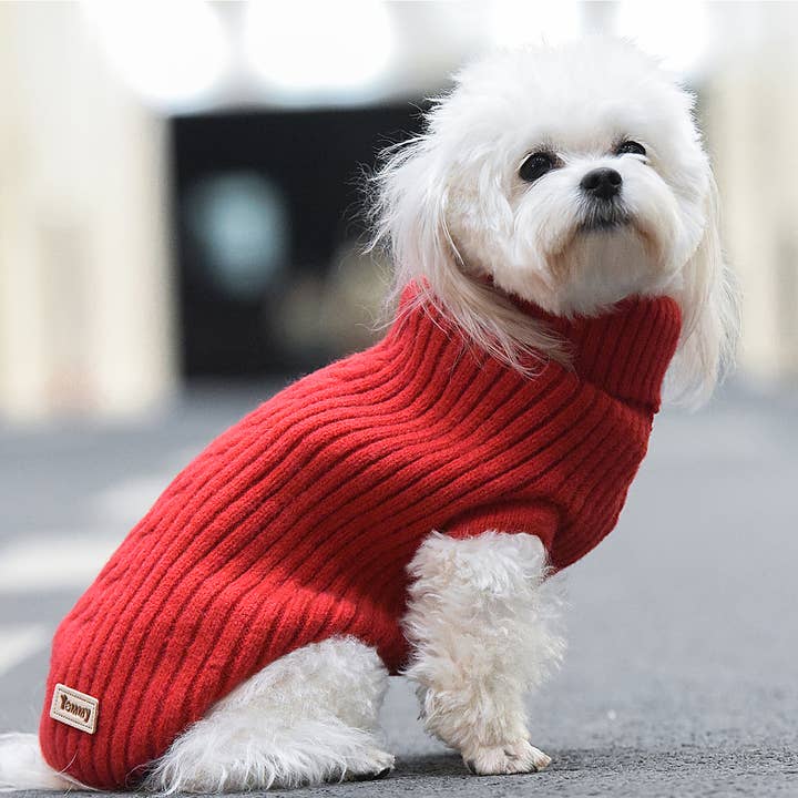 Amomi - Wholesale Pet Sweater - Dog - Knitted dog sweater1