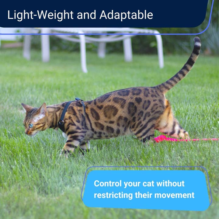 Outdoor Bengal - Wholesale Pet Harness - Cat - Houdiniâ„¢ Cat Harness and Leash - Escape Resistant, Light and Safe
