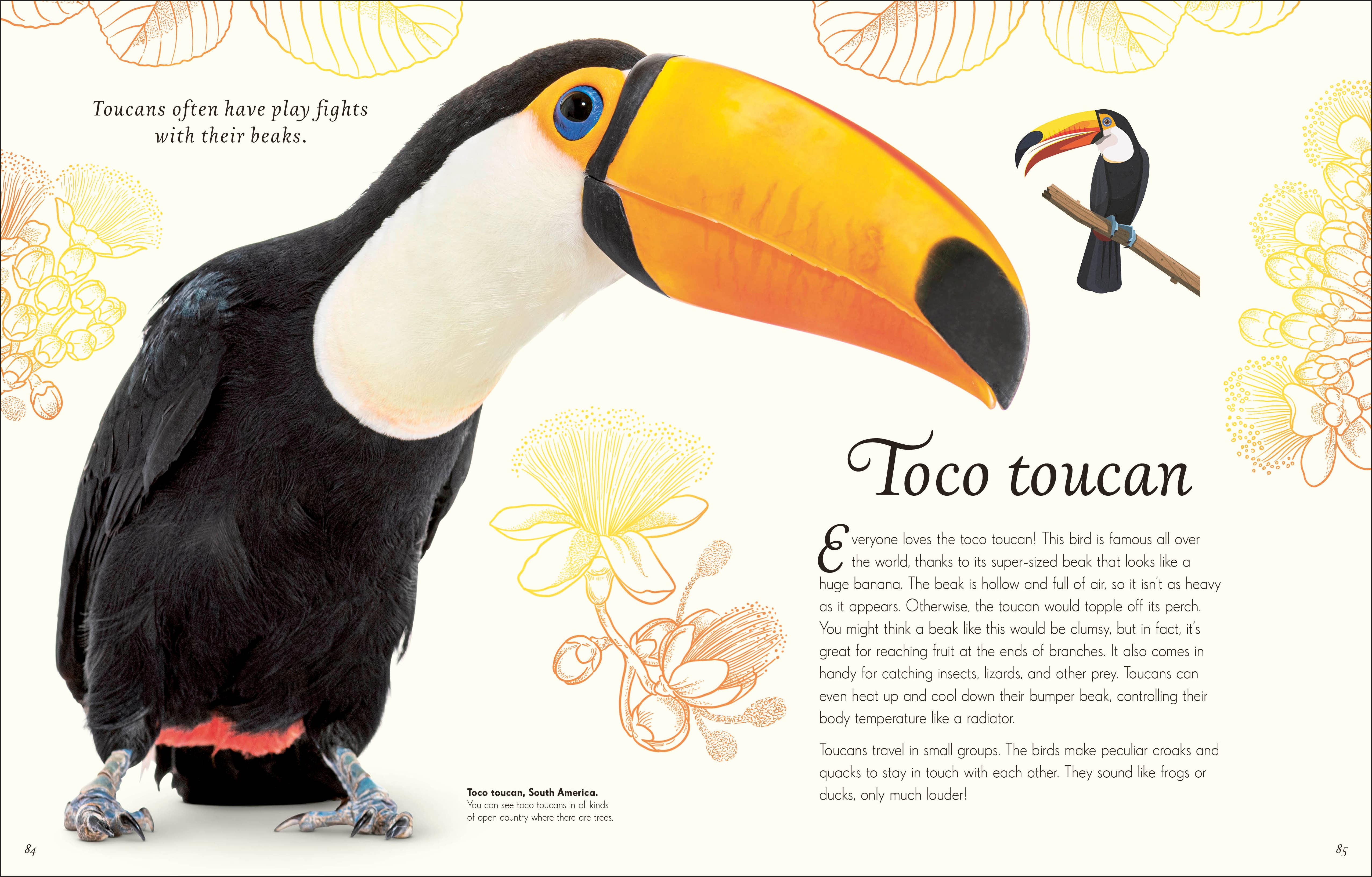 Penguin Random House LLC - Wholesale Nature & Outdoors Book - Anthology Birds5