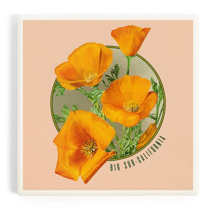 Ceramic Coaster Big Sur, California, Poppy Flowers, Conto… for wholesale by Lantern Press