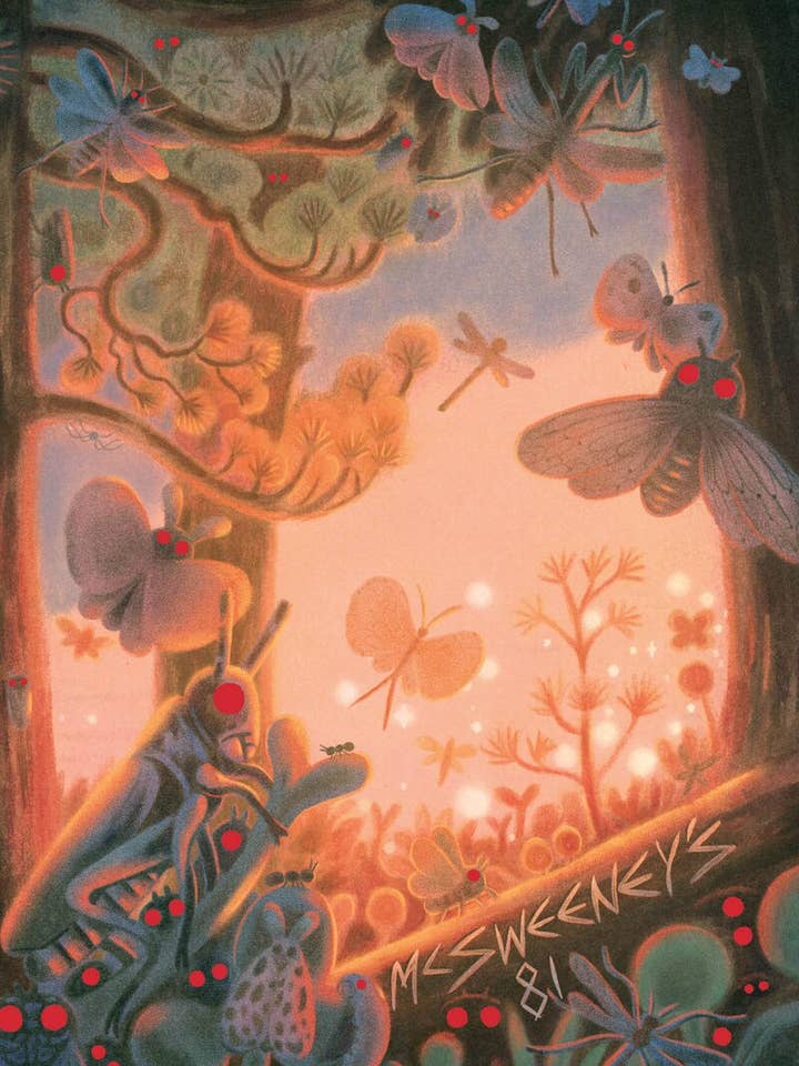 McSweeney’s Nummer 81 för wholesale av Illustoria + McSweeney's Periodicals