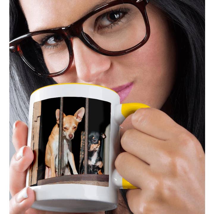 3dRose - Wholesale Coffee Mug - 3dRose, Chihuahuas in jail, Mug1