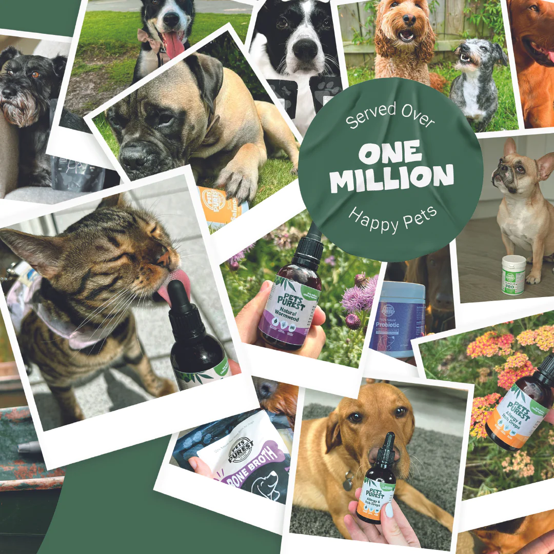 Pets Purest – wholesale Pet supplement – Cat/dog – Pets Purest Allergy Relief Aid for Dog, Cat & Pet 50ml - 1004