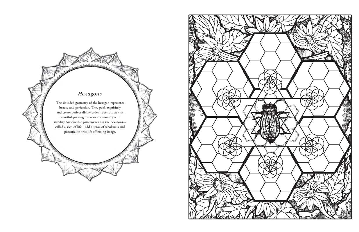 Simon & Schuster - Wholesale Coloring & Activity Book - Adult - Sacred Geometry Coloring Book by Francene Hart4