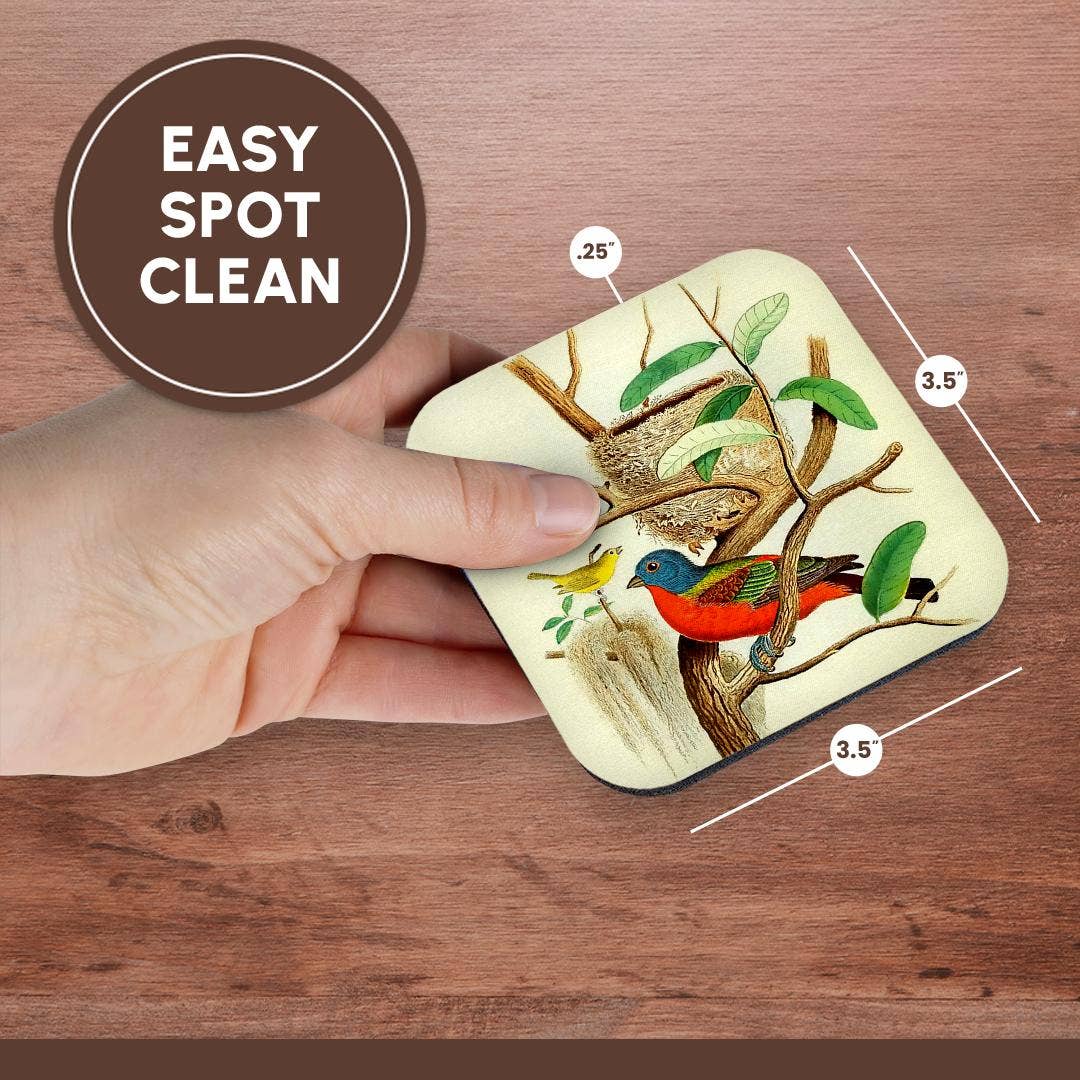 3dRose - Wholesale Coasters - 3dRose, Vintage Bird Print Painted Bunting Colorful Birds Art Illustration, Coaster13