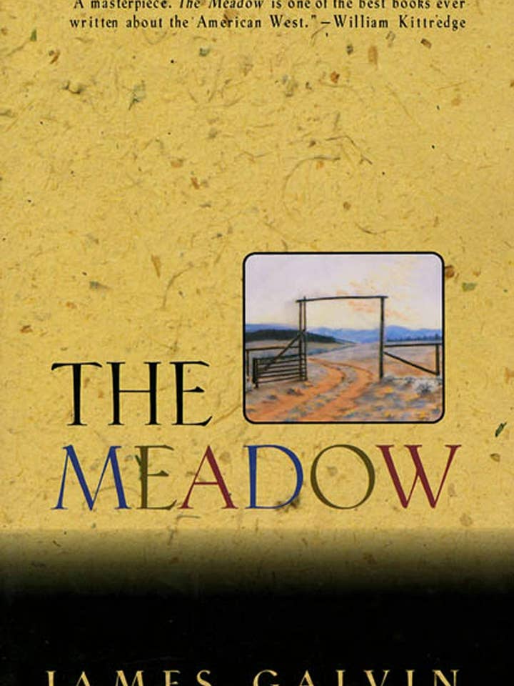 Meadow: for wholesale by Macmillan Publishers