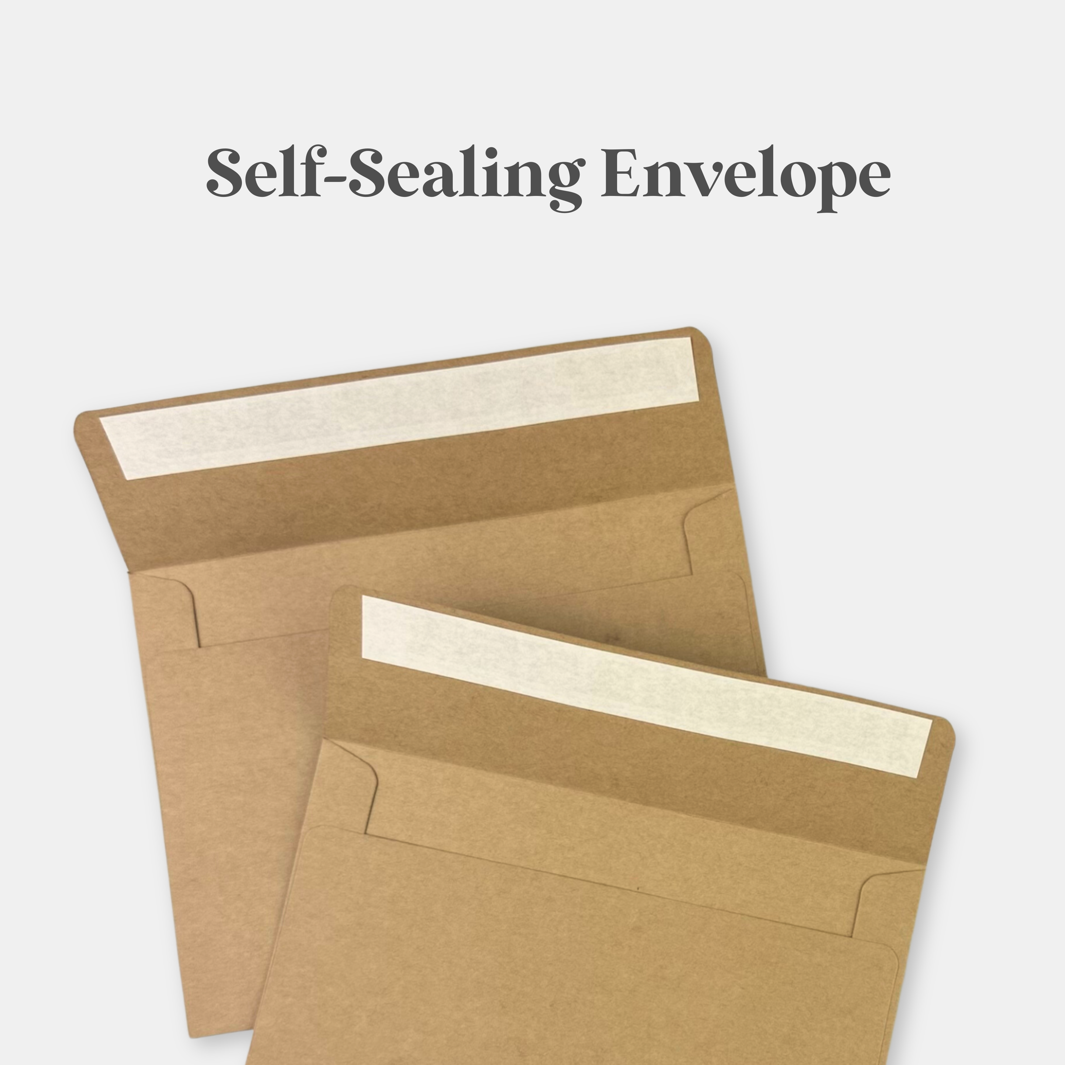 Noteworthy Co - Wholesale Everyday Greeting Card - Greeting Card | Thank You For Everything3