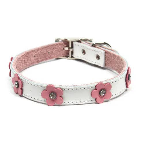 DOGUE - Wholesale Pet collar – Dog - DOGUE Foxy Leather Dog Collar7
