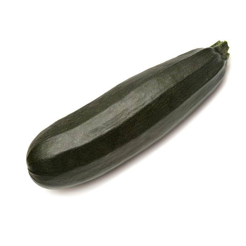 Bentley Seed Co. - Wholesale Plant Seeds - Zucchini-Black Beauty Squash 19573