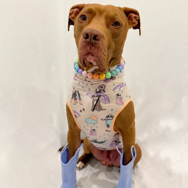 Pittie Clothing Co. - Wholesale Pet Shirt - Dog - 'It's Raining Pitties' Muscle Tee-Peach2