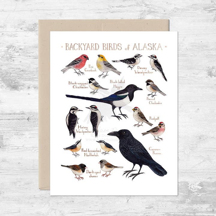 Wholesale Note Card: Backyard Birds of Alaska for wholesale by Kate Dolamore Art