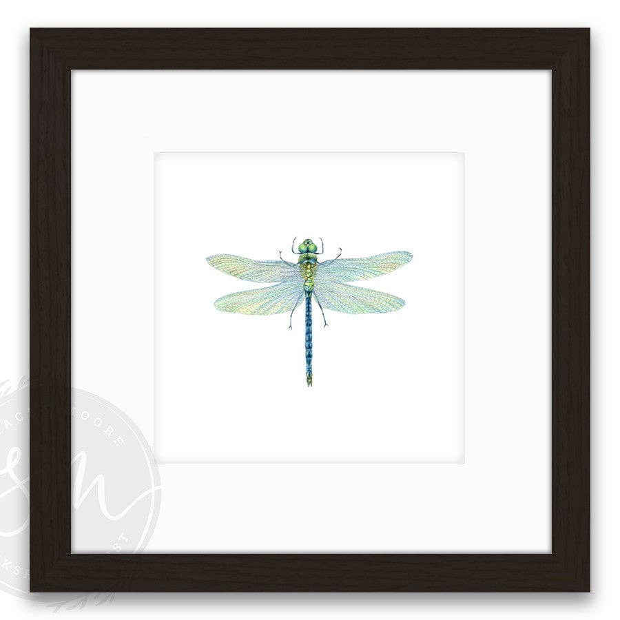 Stacey Moore Ltd - Wholesale Art Print - Dragonfly8