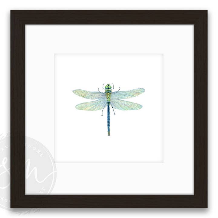 Stacey Moore Ltd - Wholesale Art Print - Dragonfly8