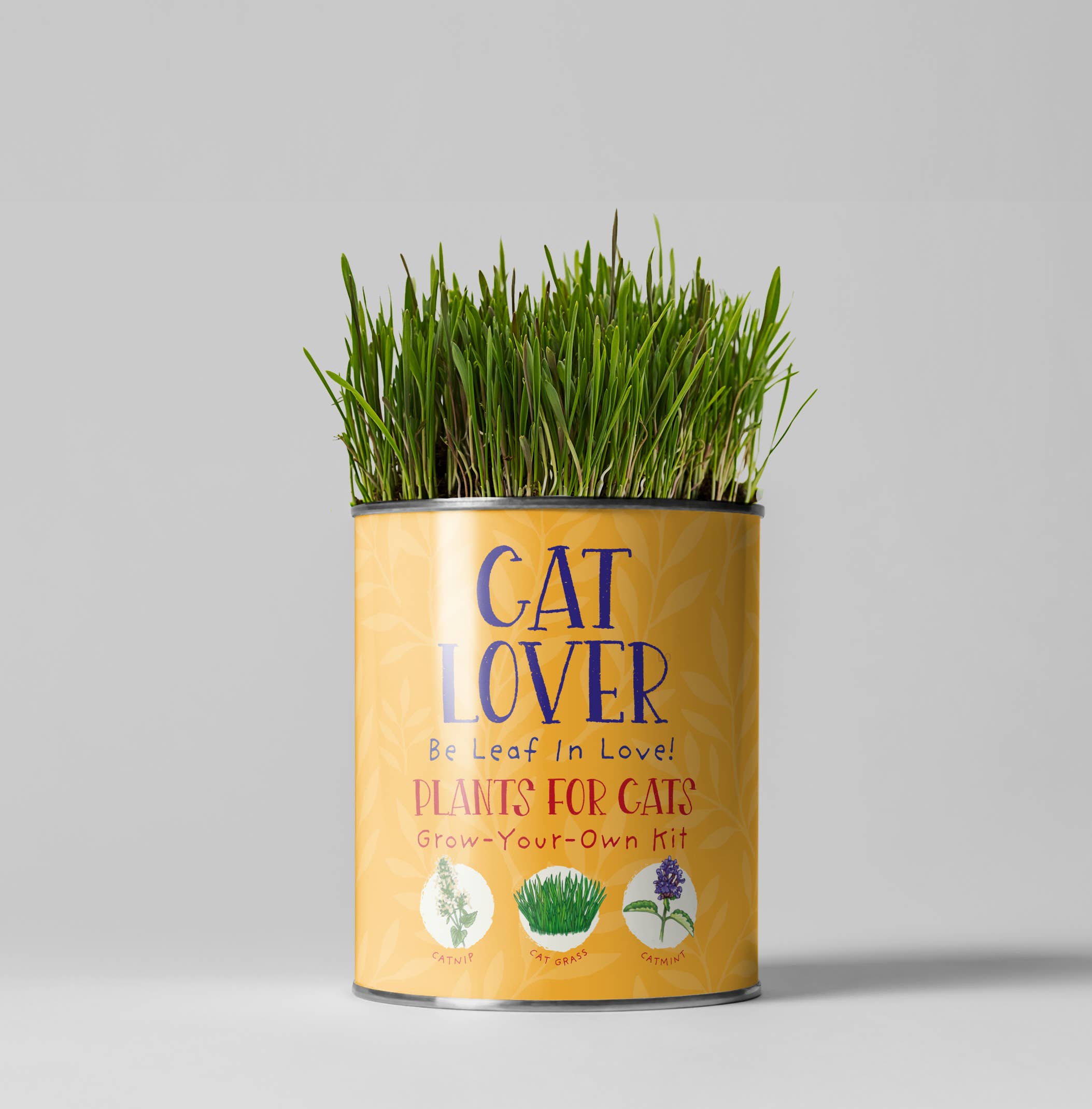The Plant Gift Co. – wholesale Plant seeds – Cat Lovers. Eco Grow Your Own Plant Kit, Gardening Kit.