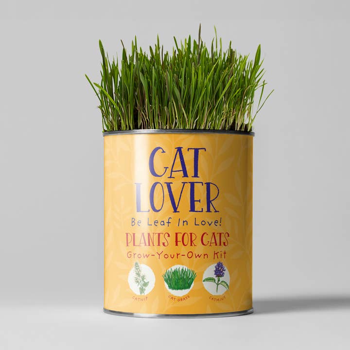Cat Lovers. Eco Grow Your Own Plant Kit, Gardening Kit. and other Purchase wholesale 1 litre plant pots. Free returns & net 60 terms on Faire trending on Faire.