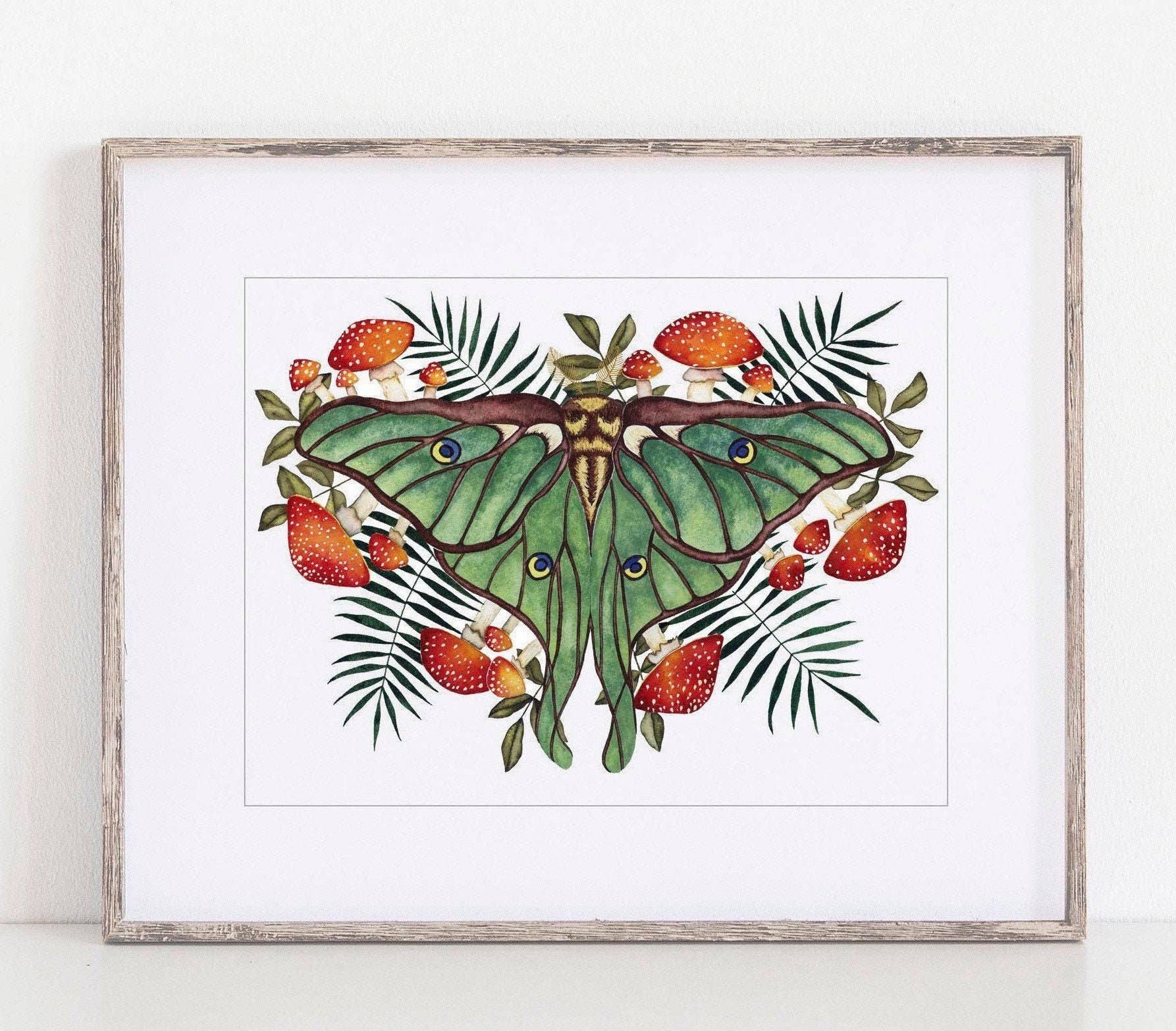 Candace Fincher – Großhandel Kunstdruck – Amanita Muscaria Magic Mushroom Kunstdruck//Luna Moth0