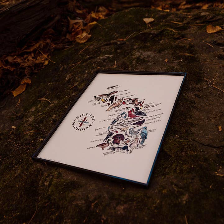 Home Squirrel - Wholesale Art Print - Birds of Michigan Watercolor Art Print1