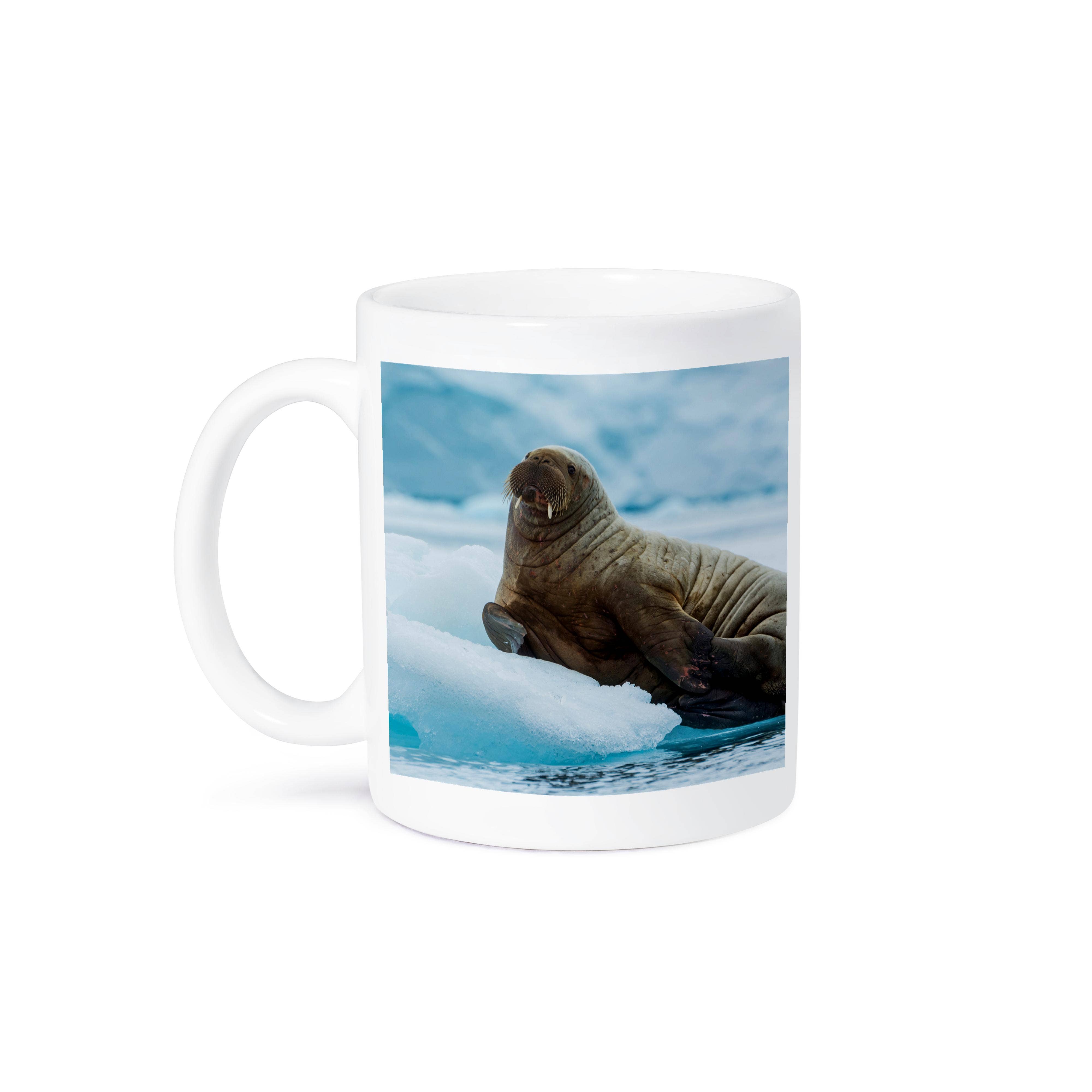 3dRose - Wholesale Coffee Mug - 3dRose, Norway. Svalbard. Brasvelbreen. Atlantic walrus resting on ice floe, Mug8