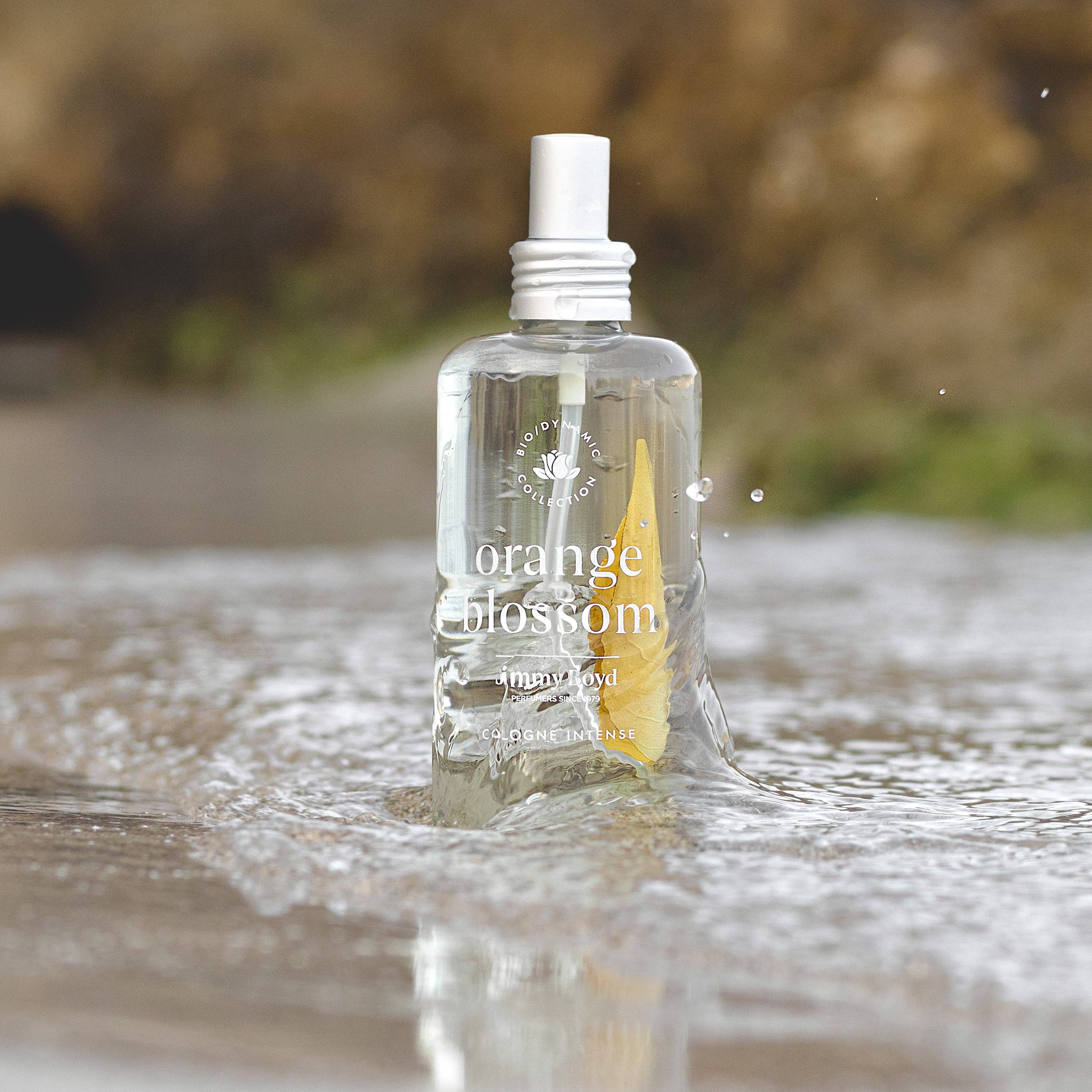 Abundance Naturally Ltd. – Großhandel Eau-de-Cologne-Spray – Jimmy Boyd | Intense Cologne - ORANGENBLÜTE2