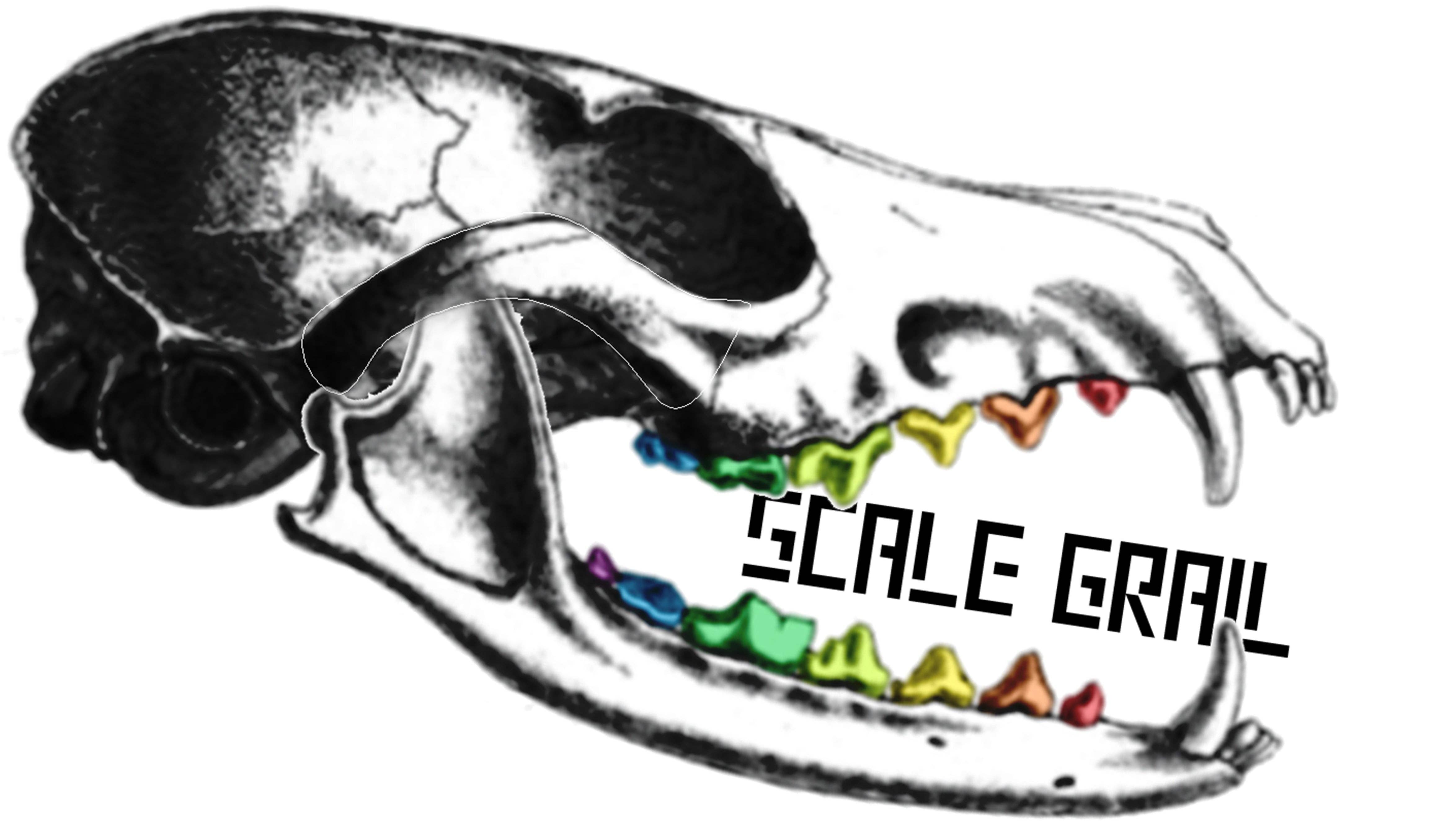 Gray Tree stumps with Roots | The Scale Grail for wholesale on Faire2