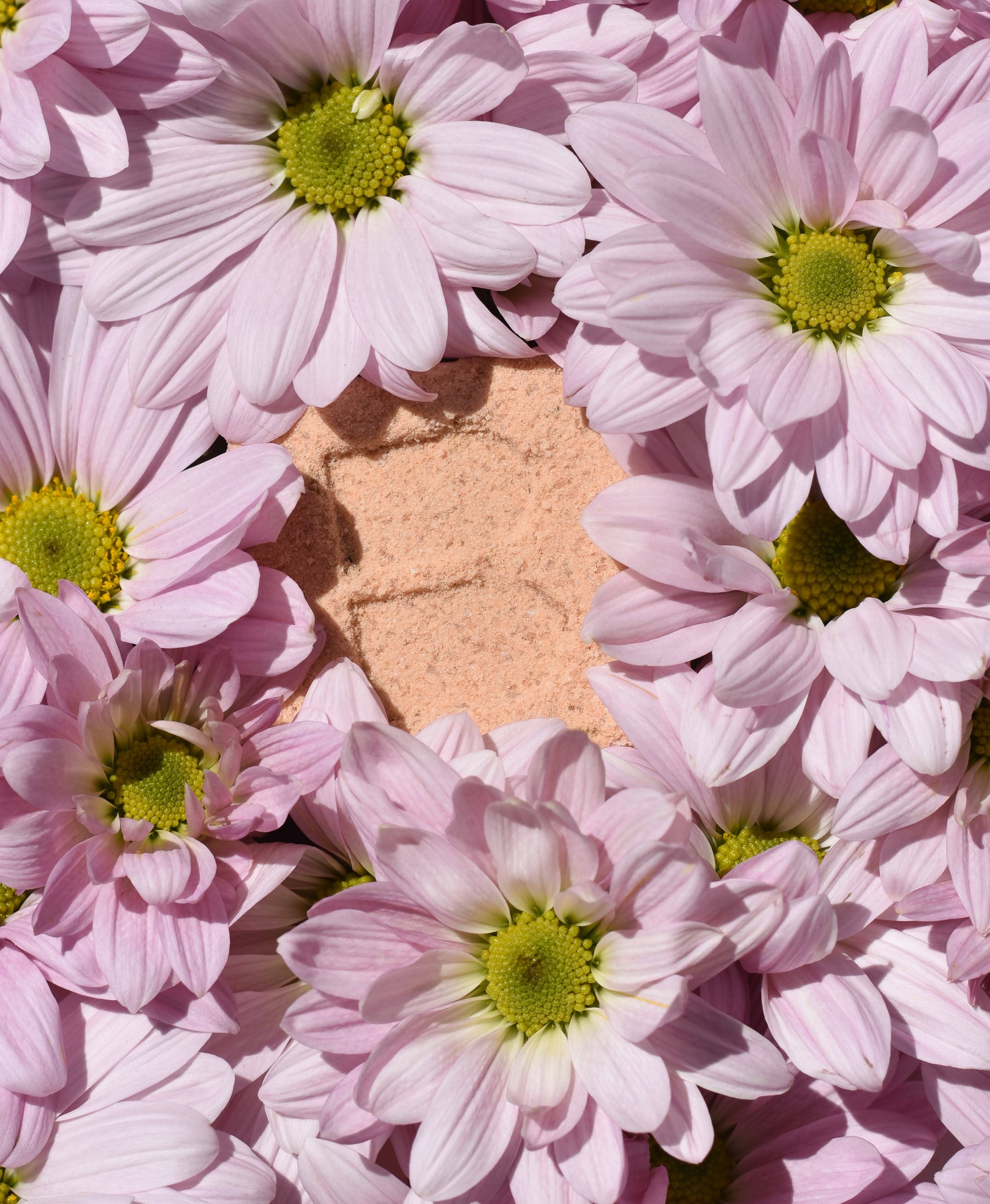 Bare Skin Bar/By Steven - Wholesale Bath Bomb/Fizz - CALM Bath Bomb4