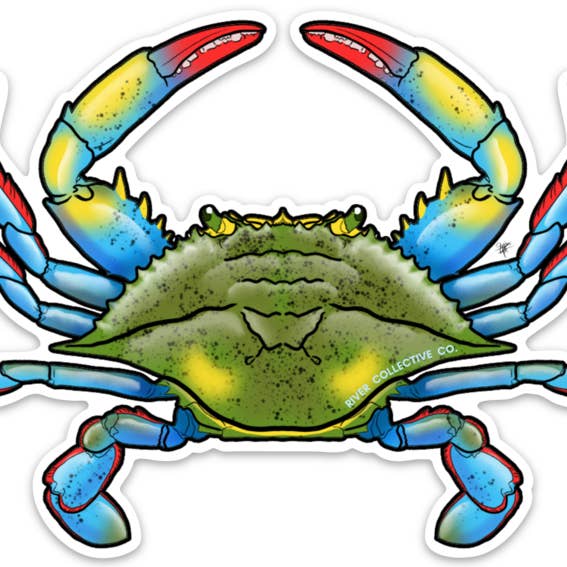 BLUE CRAB for wholesale by River Collective Co.