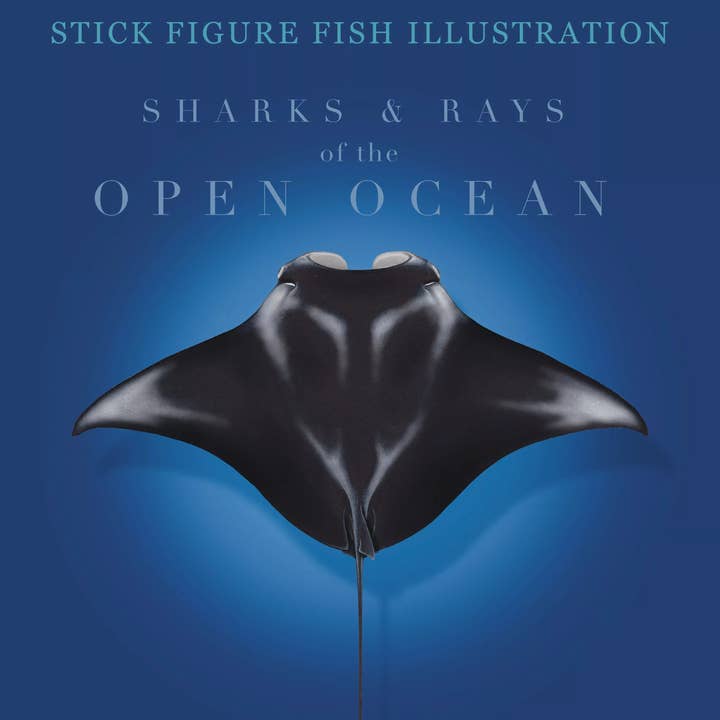 Sharks and Rays of the Open Ocean for wholesale by Stick Figure Fish