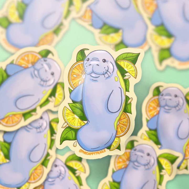 Adesivo di Lamantino Agrumato Resistente alle Intemperie Personalizzato con Nome per la vendita all'ingrosso da parte di Cappy Trails