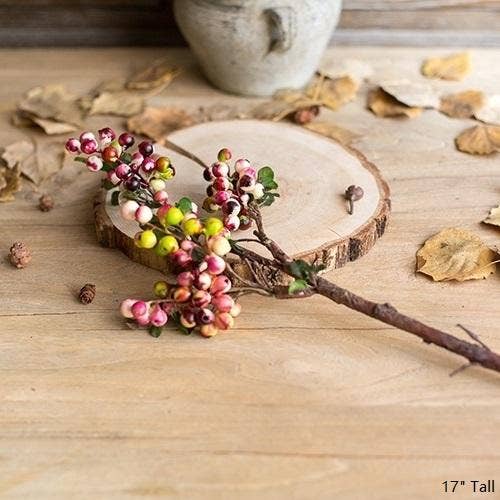 Rustic Reach - Vente Plantes artificielles - Fruit artificiel, tige de baie artificielle en jaune-rouge, 17 pouces de haut0