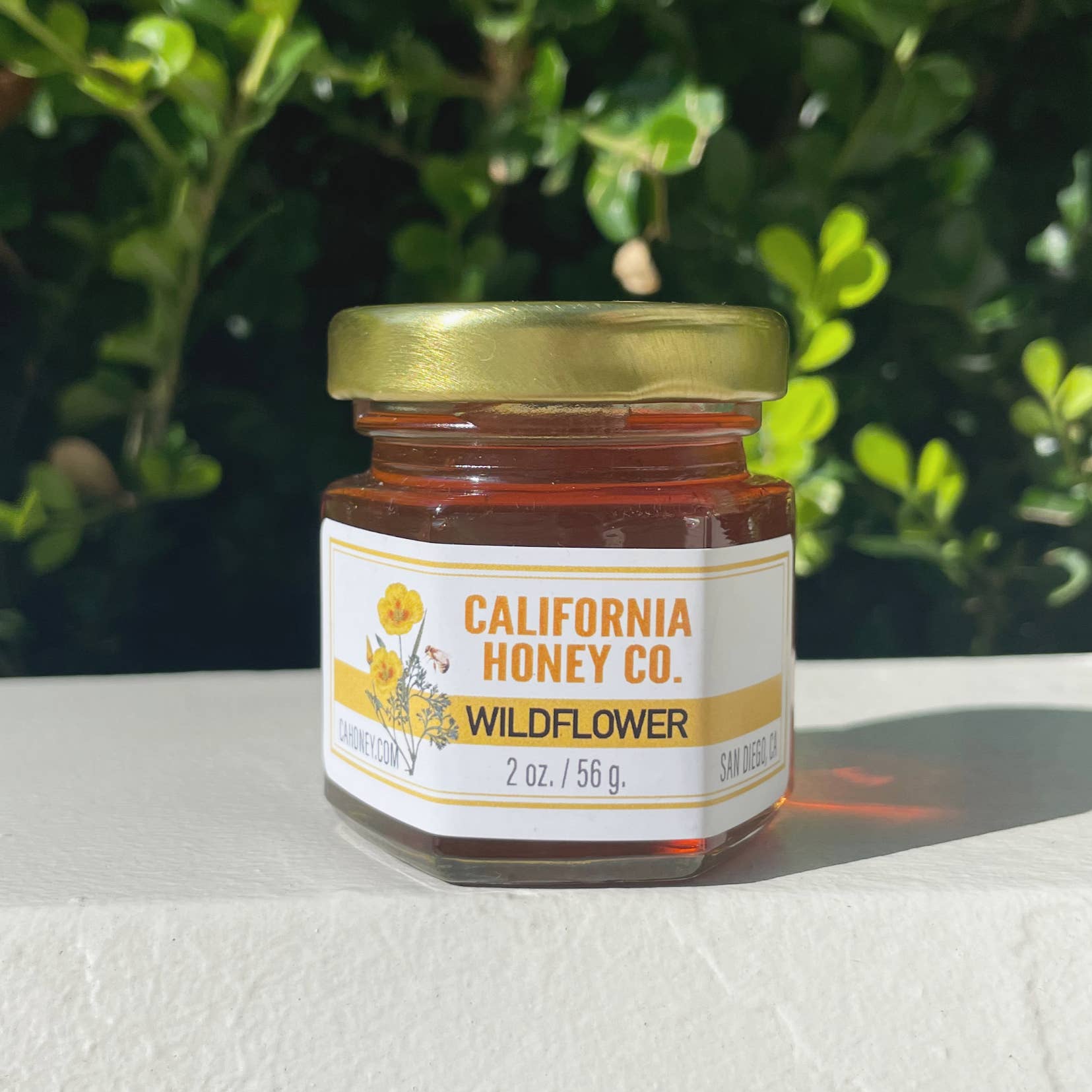 California Honey Co. - Wholesale Honey - Wildflower Honey 2 oz.0