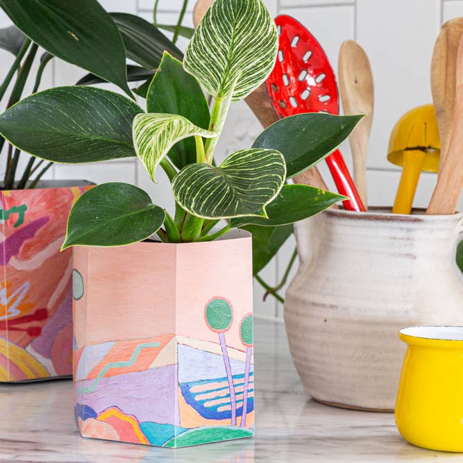 Sow 'n Sow - Wholesale Plant pot - Pop Up Pot 'Yonder' Small3