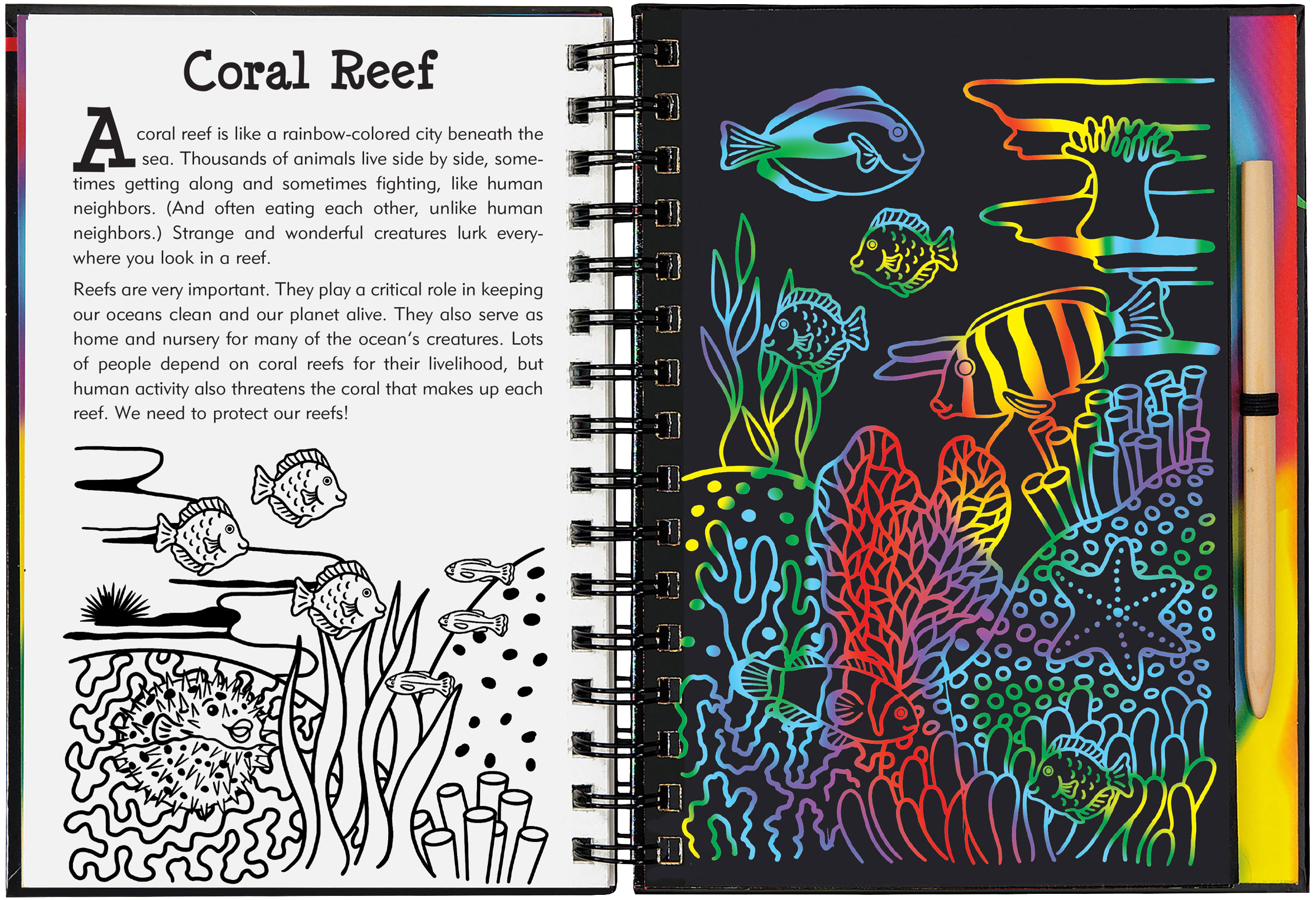 Peter Pauper Press - Wholesale Sketchbook/Sketchpad - Coral Reefs Scratch and Sketch3
