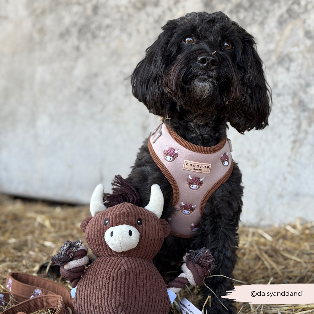 Cocopup London - Wholesale Pet Harness - Dog - Harold the Highland Cow Adjustable Neck HARNESS25