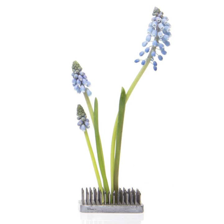 Chive - Wholesale Garden Tool - Floral Frogs / Kenzans