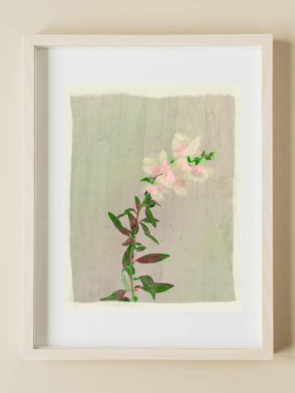 Snapdragon Fine Art Print for wholesale by Gather Goods Co - Cards, Coasters, Tea Towels, Art, Mugs