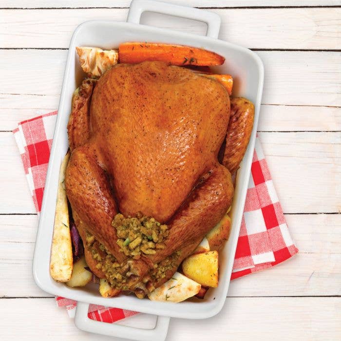 HIC - Harold Import Co. - Wholesale Kitchen Tool/Gadget - HIC Kitchen Lasagna Pan With Handles, White3