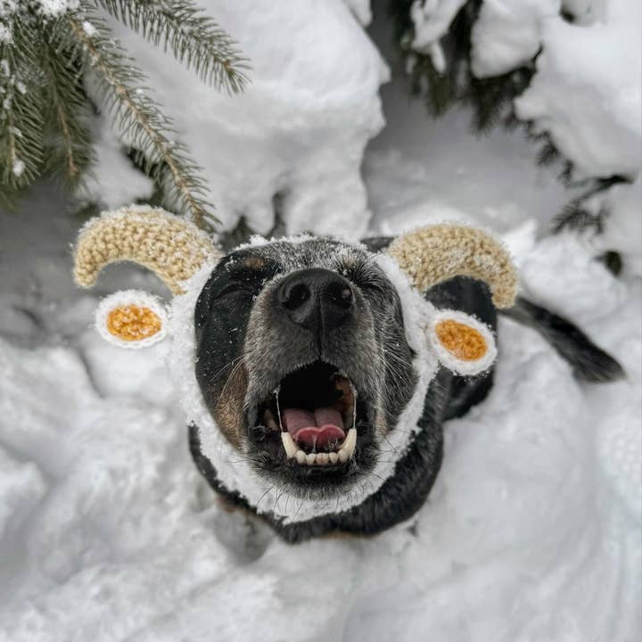 Zoo Snoods - Wholesale Pet Snood - Dog - Goat Ram Dog Snood10