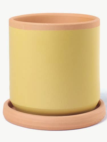 Mustard clay flowerpot for wholesale by Casa Atlântica