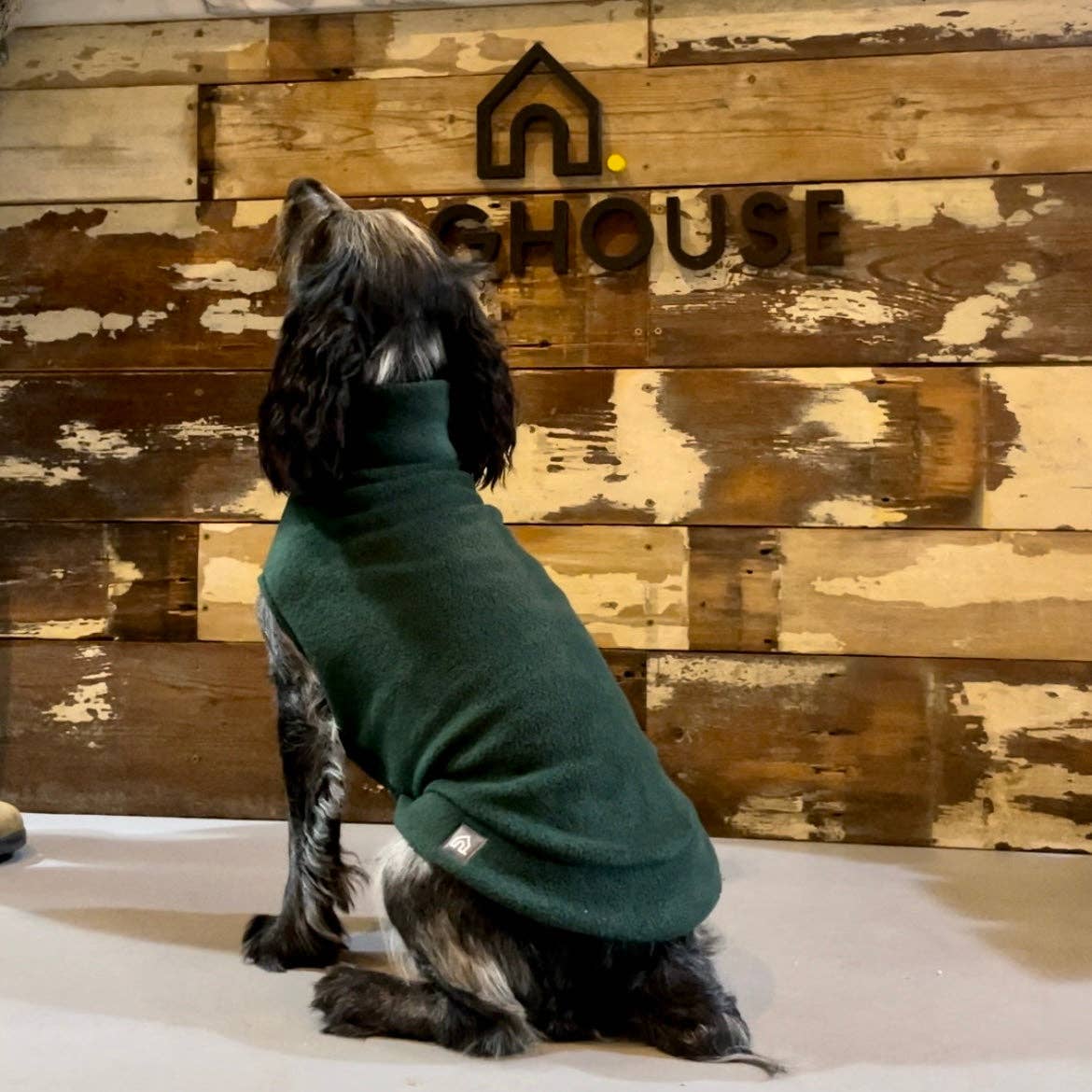 Doghouse – Großhandel Haustier-Pullover – Hund – Fleece-Pullover für mittelgroße Hunde1