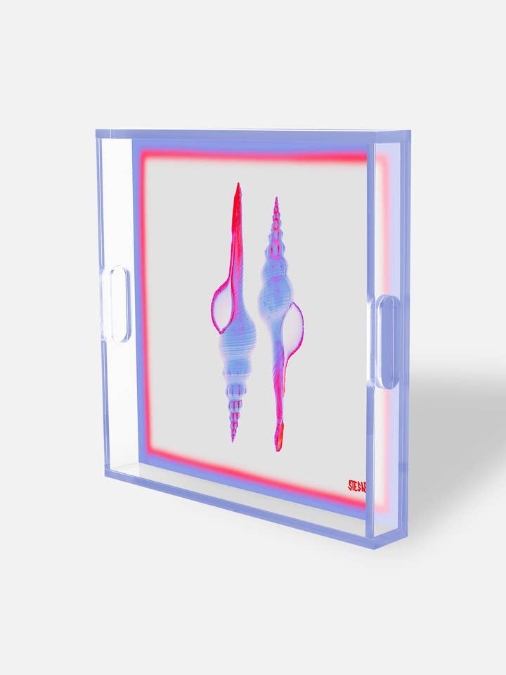 Purple & Pink Shell Acrylic Tray – Sensual Spirals for wholesale by David Stesner ArtHouse