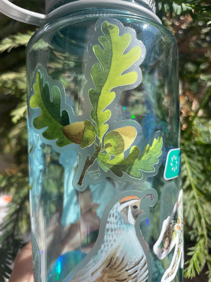 Eikenblad en Eikel Sticker voor wholesale door Botanical State of Mind