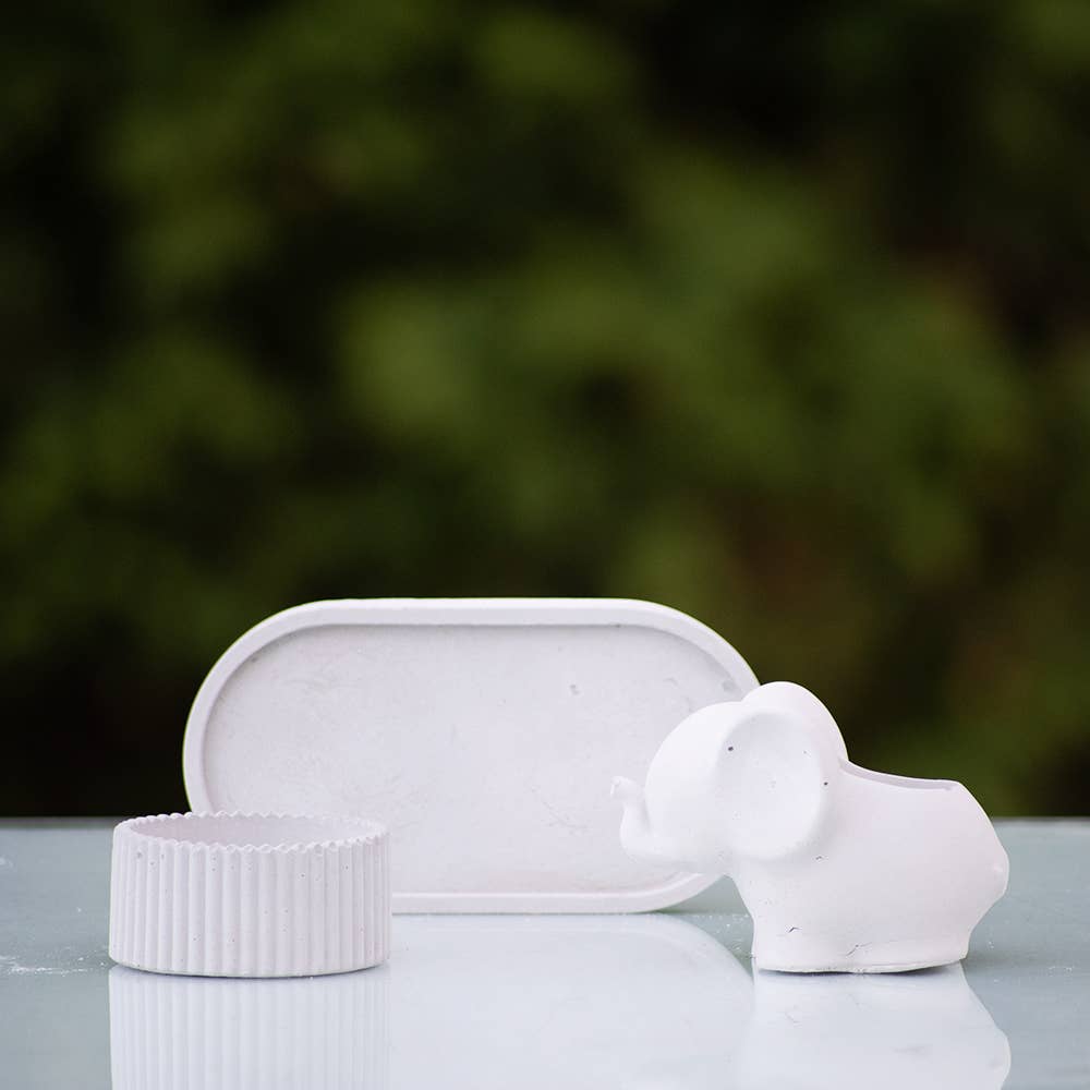 Bella Home Garden Decor - Wholesale Plant Pot - Succulent 3 pc Set 3