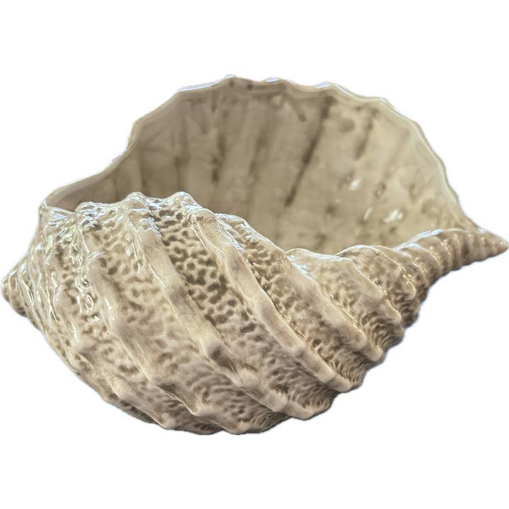 Natural Colored Shell Bowl - Large for wholesale by Abbiamo Tutto